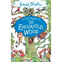 The Magic Faraway Tree: The Enchanted Wood: Book 1