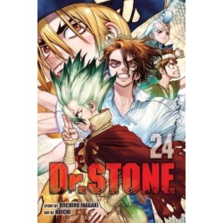 Dr. STONE, Vol. 24: Stone To Space
