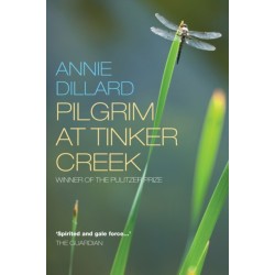 Pilgrim at Tinker Creek