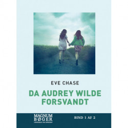 Da Audrey Wilde forsvandt (Storskrift)