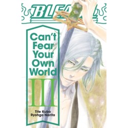 Bleach: Can't Fear Your Own World, Vol. 3