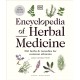 Encyclopedia of Herbal Medicine New Edition: 560 Herbs and Remedies for Common Ailments