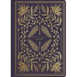 ESV Illuminated Scripture Journal: John (Paperback)