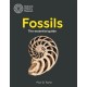 The Fossils: The essential guide