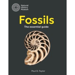 The Fossils: The essential guide