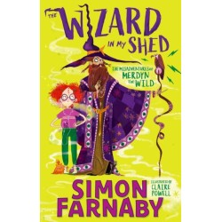 The Wizard In My Shed: The Misadventures of Merdyn the Wild