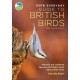 The RSPB Everyday Guide to British Birds: Identify our common species and learn more about their lives