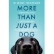 More Than Just a Dog: Understanding, Loving and Living with Dogs. an Essential Guide for Humans.