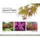 An Illustrated Guide to Japanese Maples for Garden Planting and Patio Pots