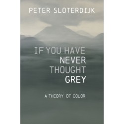If You Have Never Thought Gray: A Theory of Color