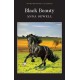 Black Beauty