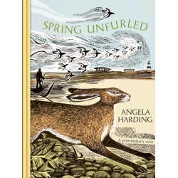 Spring Unfurled: part of a beautiful seasonal quartet from beloved illustrator and print-maker Angela Harding