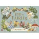 Find the Fairies: A Memory Game