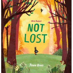 Mini Rabbit Not Lost
