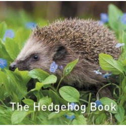 The Nature Book Series: The Hedgehog Book