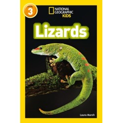 Lizards: Level 3