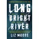 Long Bright River: an intense family thriller