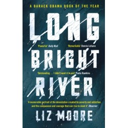 Long Bright River: an intense family thriller