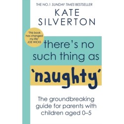 There's No Such Thing As 'Naughty': The groundbreaking guide for parents with children aged 0-5