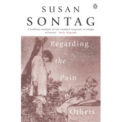 Regarding the Pain of Others