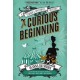 Veronica Speedwell Mystery - A Curious Beginning