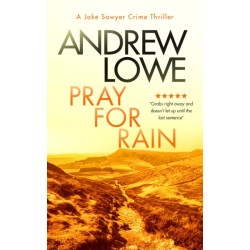 Pray For Rain: A page-turning British detective crime thriller with twists