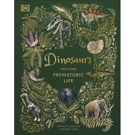 Dinosaurs and Other Prehistoric Life