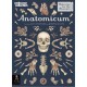 Anatomicum