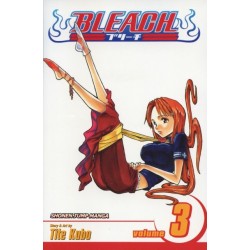 Bleach, Vol. 3: Memories in the Rain