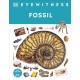 Fossil