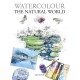 Watercolour The Natural World