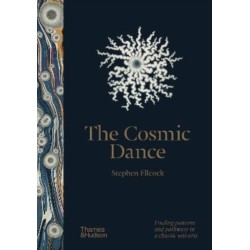 The Cosmic Dance: Finding patterns and pathways in a chaotic universe