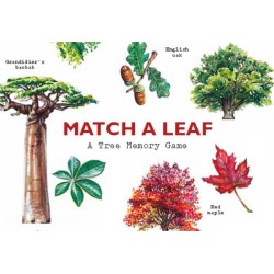 Match a Leaf: A Tree Memory Game