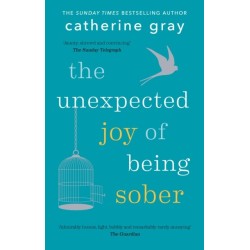 The Unexpected Joy of Being Sober: THE SUNDAY TIMES BESTSELLER