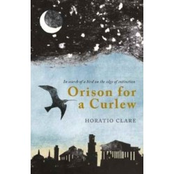 Orison for a Curlew: In Search of a Bird on the Edge of Extinction