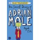 The Secret Diary of Adrian Mole Aged 13 ¾