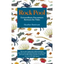 Rock Pool: Extraordinary Encounters Between the Tides