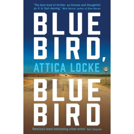 Bluebird, Bluebird