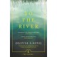 To the River: A Journey Beneath the Surface