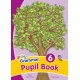 Grammar 6 Pupil Book: In Precursive Letters (British English edition)