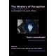 The Mystery of Perception: A Conversation with Lynne Tillman