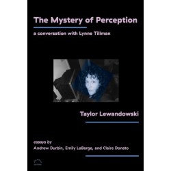 The Mystery of Perception: A Conversation with Lynne Tillman
