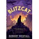Blitzcat