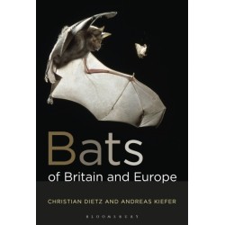 Bats of Britain and Europe