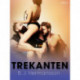 Trekanten - erotisk novell