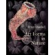 Art Forms in Nature: The Prints of Ernst Haeckel
