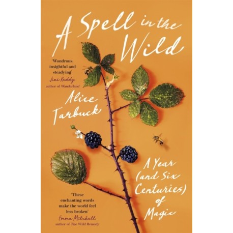 A Spell in the Wild: A Year (and six centuries) of Magic