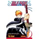 Bleach, Vol. 1: Strawberry and the Soul Reapers