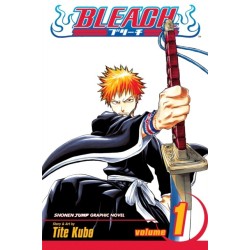 Bleach, Vol. 1: Strawberry and the Soul Reapers