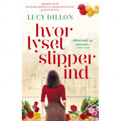 Hvor lyset slipper ind